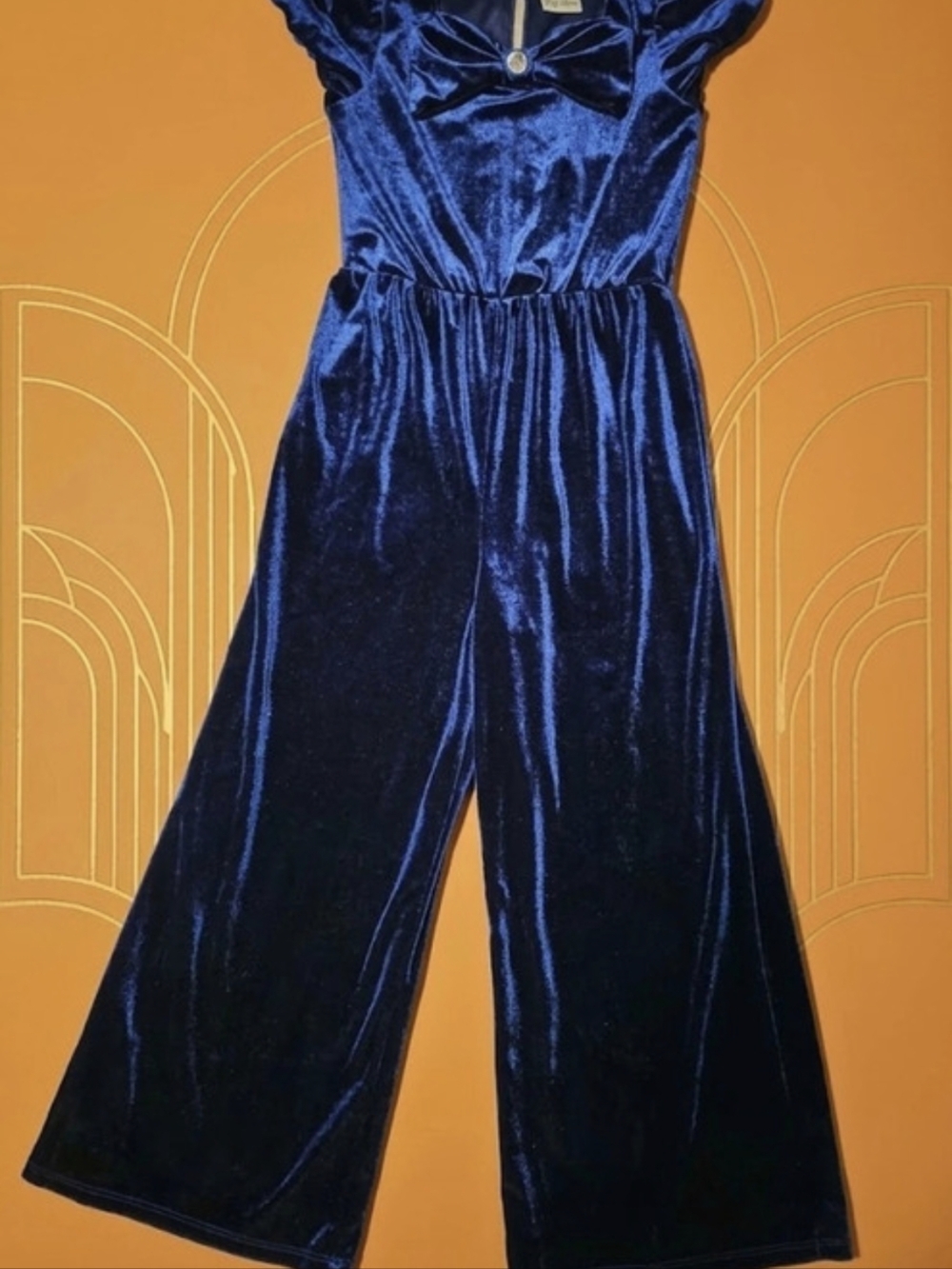 Lily Bleu Cap Sleeve Velvet Jumpsuit - Blue